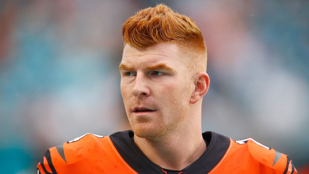 Andy Dalton Trade Odds: Bears Favored to Deal for Dalton article feature image