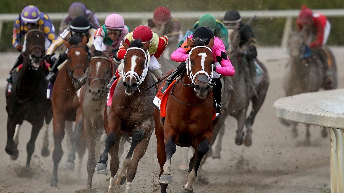 2020 Florida Derby Undercard Picks: Best Bets & Pick 6 Plays for 5 Saturday Races at Gulfstream Park article feature image