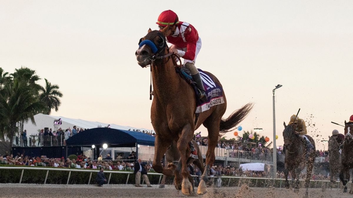 2020 Florida Derby Betting Picks: The Best Longshots to Bet in Saturday’s Races at Gulfstream Park article feature image