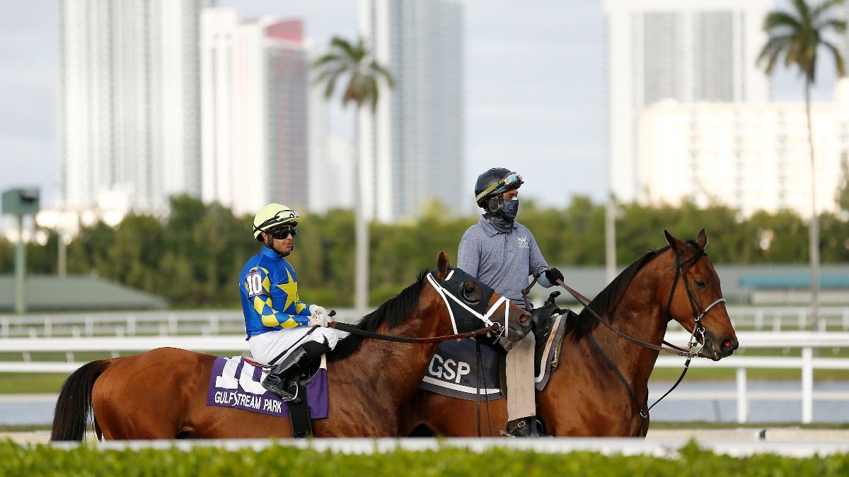 Horse Racing Picks for Sunday Best Bets at Gulfstream Park and Santa Anita The Action Network