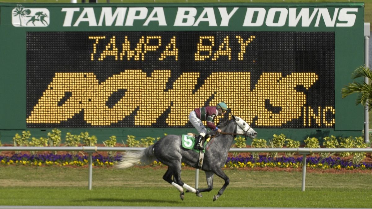 Horse Racing Picks for Wednesday, April 8: Best Value Bets for Tampa Bay Downs article feature image