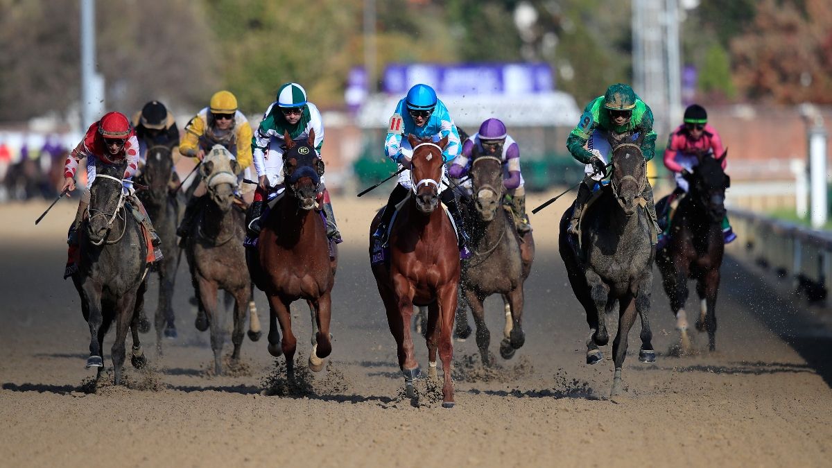 Tvg horse racing online betting