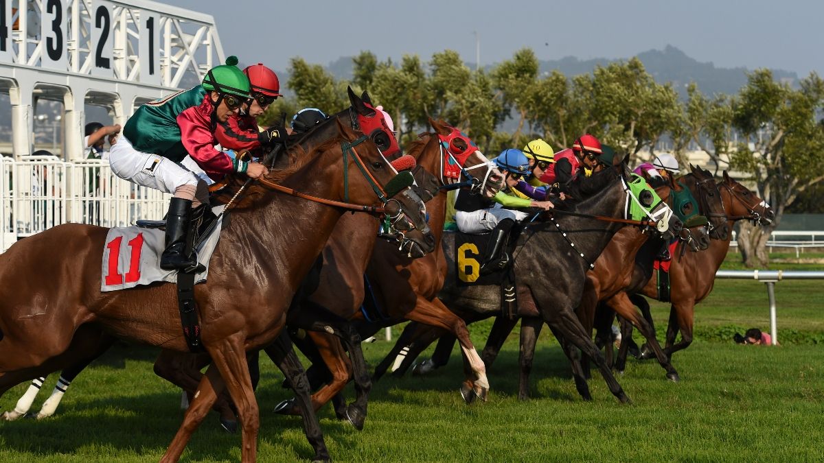 Horse Racing Picks for Thursday, May 14: Best Bets for Golden Gate Fields article feature image