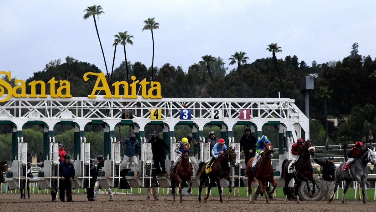Horse Racing Picks for Sunday Afternoon: Best Bets, Value Picks for Gulfstream, Santa Anita article feature image