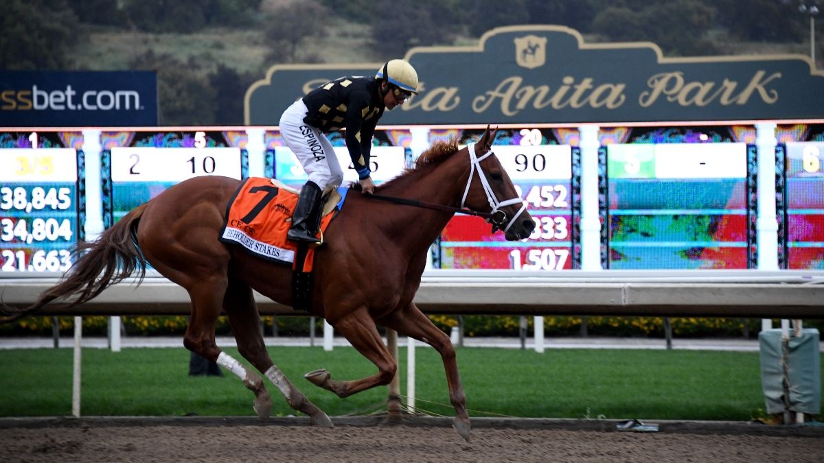 Sunday Horse Racing Odds & Picks: Best Bets from Santa Anita, Gulfstream (May 31) article feature image