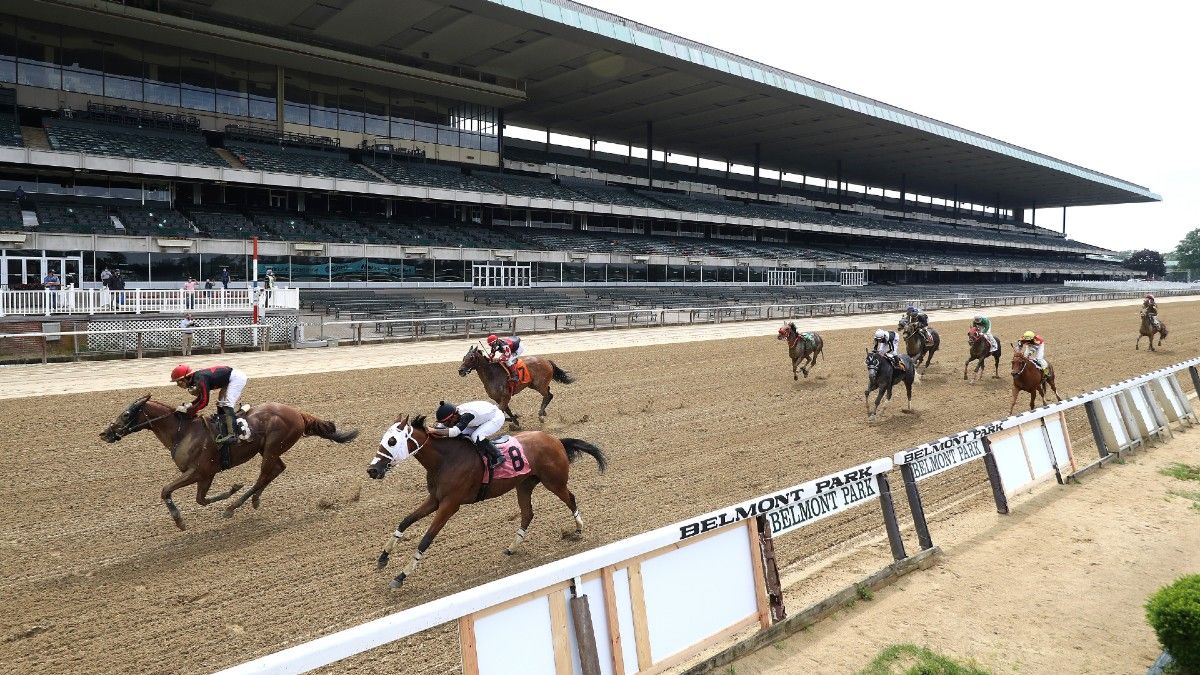 Horse Racing Picks, Exotics & Longshots 3 Races to Play at Belmont