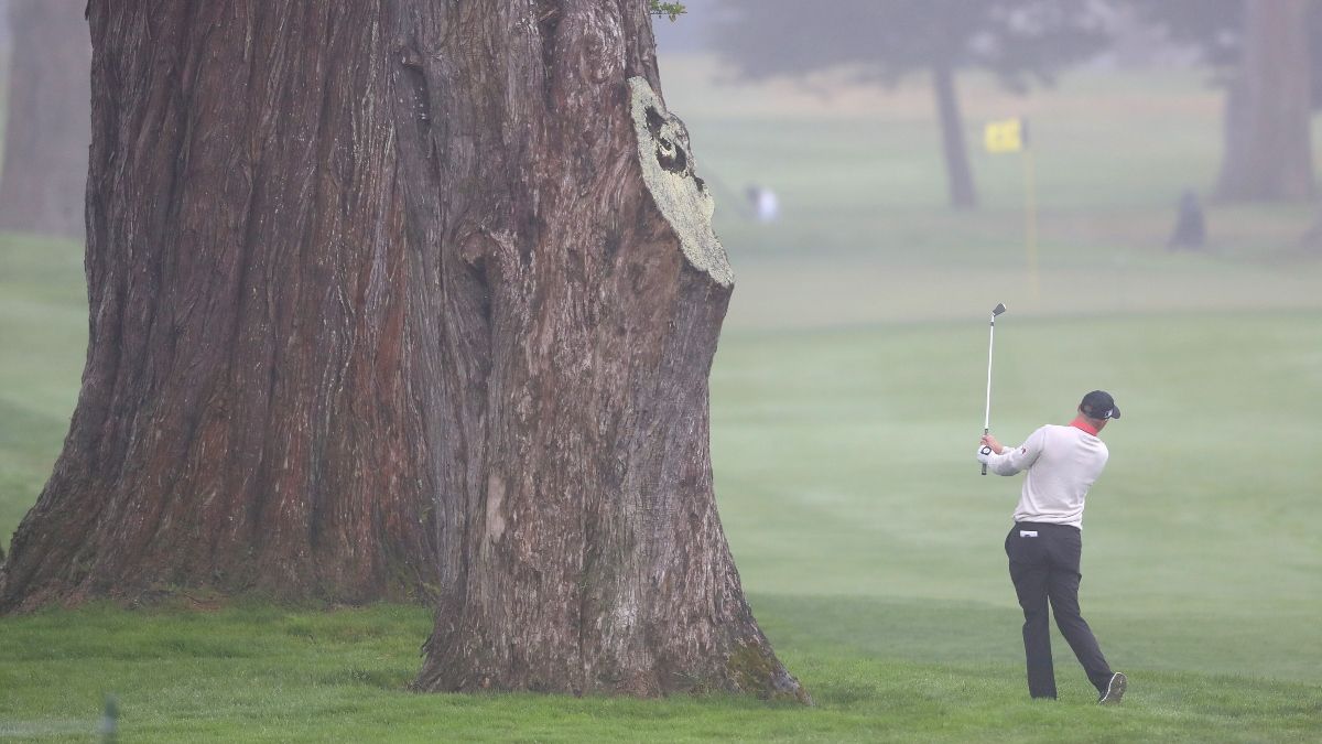 What to Know About TPC Harding Park Before Betting the PGA Championship article feature image