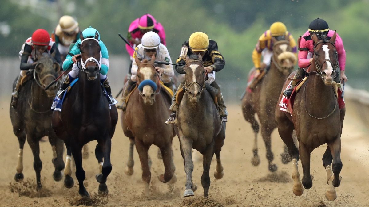 2020 Preakness Stakes Promotion, Best Bet and Longshot article feature image