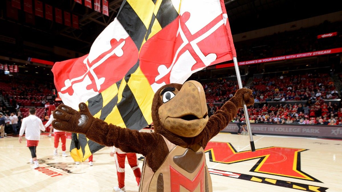 Maryland Sports Betting Approved By Voters article feature image