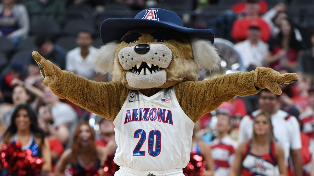 Arizona Wildcats Odds, Promo: Bet $10, Win $200 if Arizona Beats Houston! article feature image