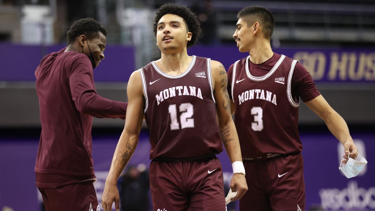 Northern Colorado vs. Montana Odds, Picks: Sharps Betting Monday’s College Basketball Spread article feature image