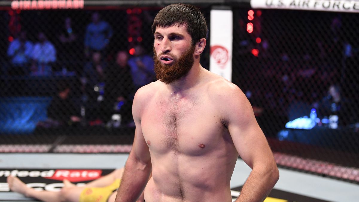 Nikita Krylov vs. Magomed Ankalaev UFC Fight Night Odds & Picks: Back the Dagestani to Grind Out the Win (Feb. 27) article feature image