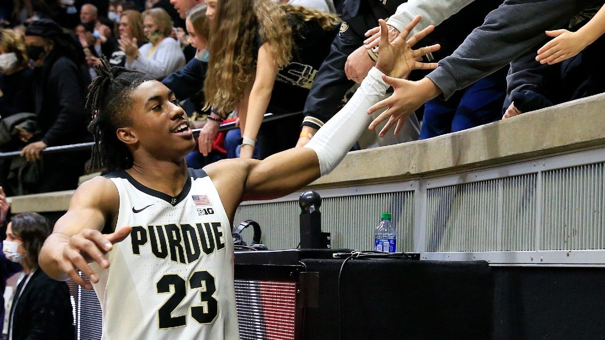 Florida State vs. Purdue College Basketball Odds & Picks: Can Seminoles Slow Down Boilermakers? article feature image