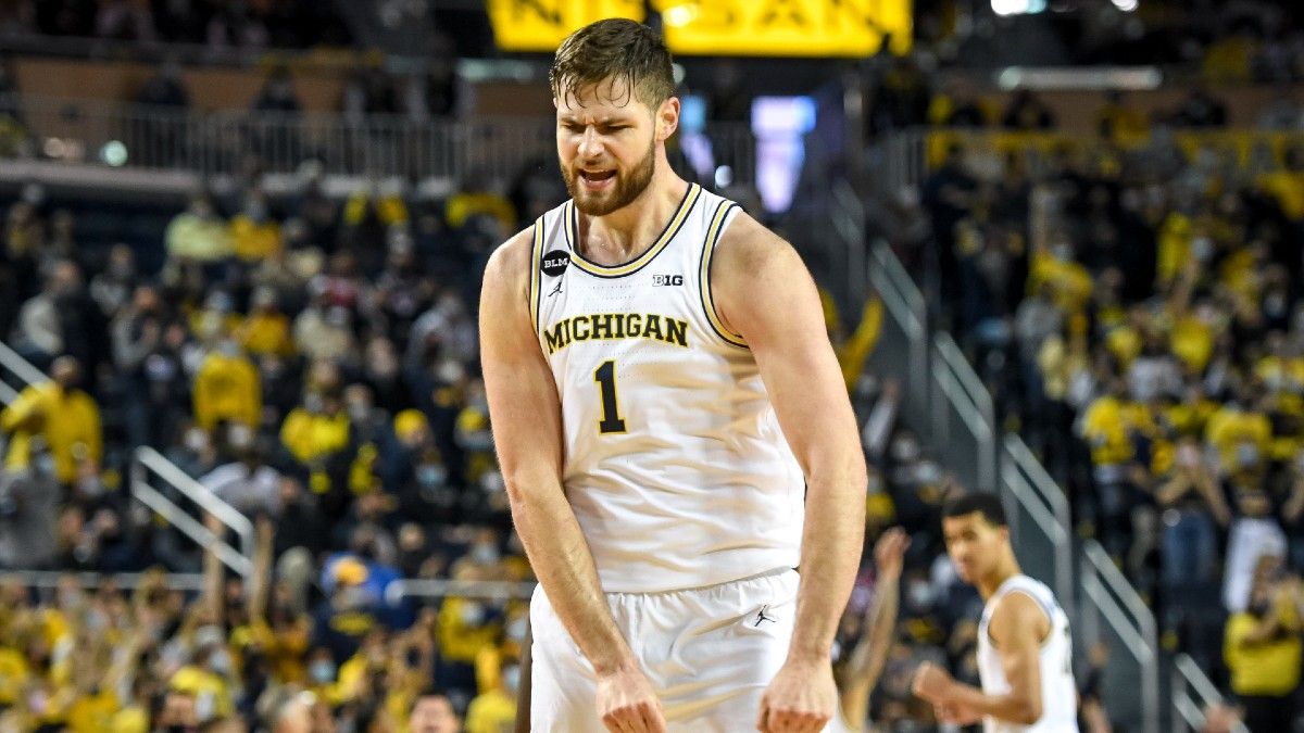 College Basketball Odds & Picks for Minnesota vs. Michigan: How to Bet Saturday’s Big Ten Battle article feature image