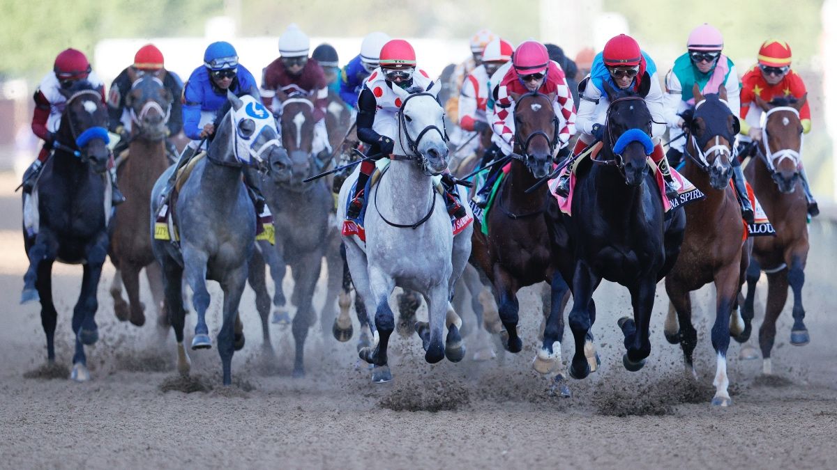 2022 Kentucky Derby Prep Race Betting Odds & Picks: Bob Baffert Contender Newgrange Favored in Southwest Stakes article feature image
