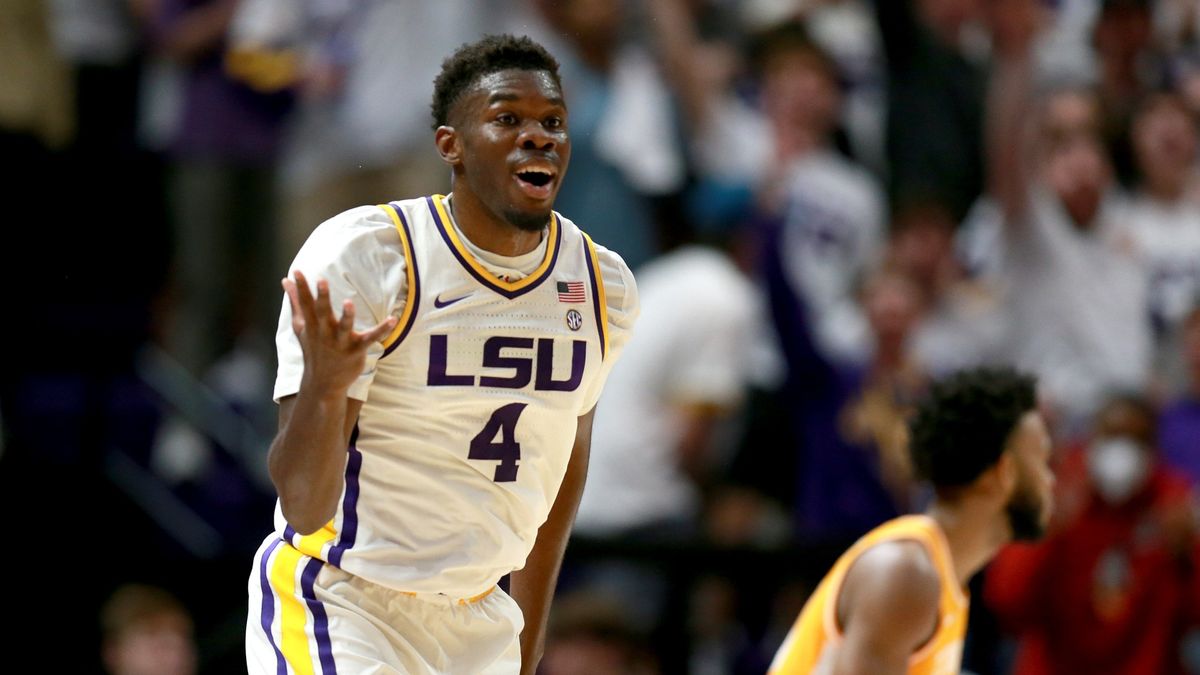 Wednesday College Basketball Odds, Pick, Predictions: LSU Tigers vs. Florida Gators Betting Preview article feature image
