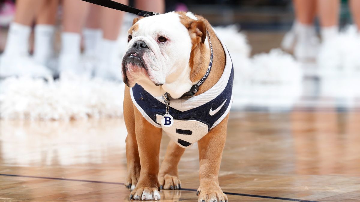 Wednesday College Basketball Odds, Picks, Predictions: Butler Bulldogs vs. Xavier Musketeers Betting Preview article feature image