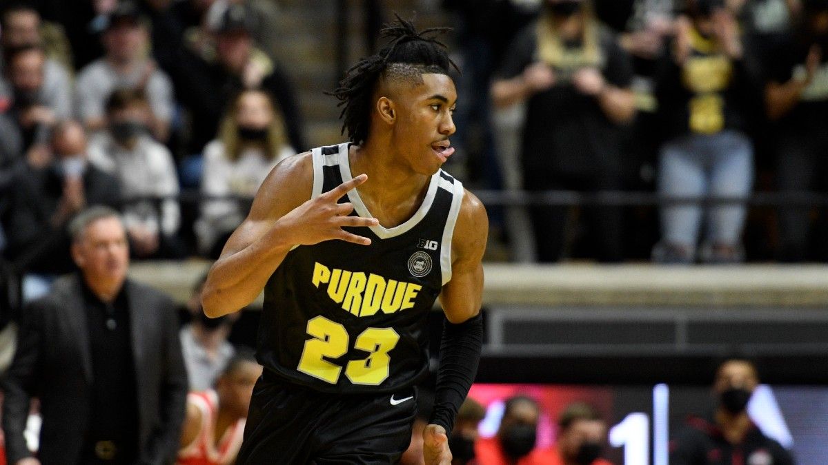Wednesday College Basketball Odds, Picks & Predictions: Purdue Boilermakers vs. Minnesota Golden Gophers Betting Preview article feature image