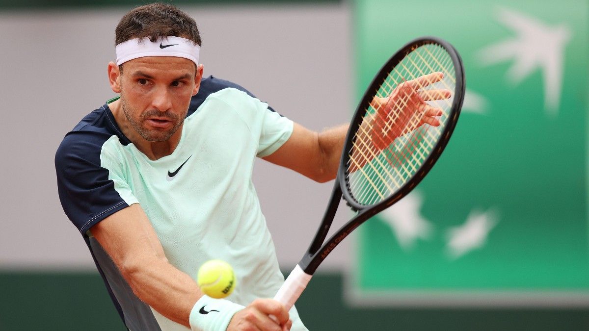 2022 French Open Dimitrov vs. Schwartzman Odds, Picks, Predictions: Back In-Form Player (May 27) article feature image