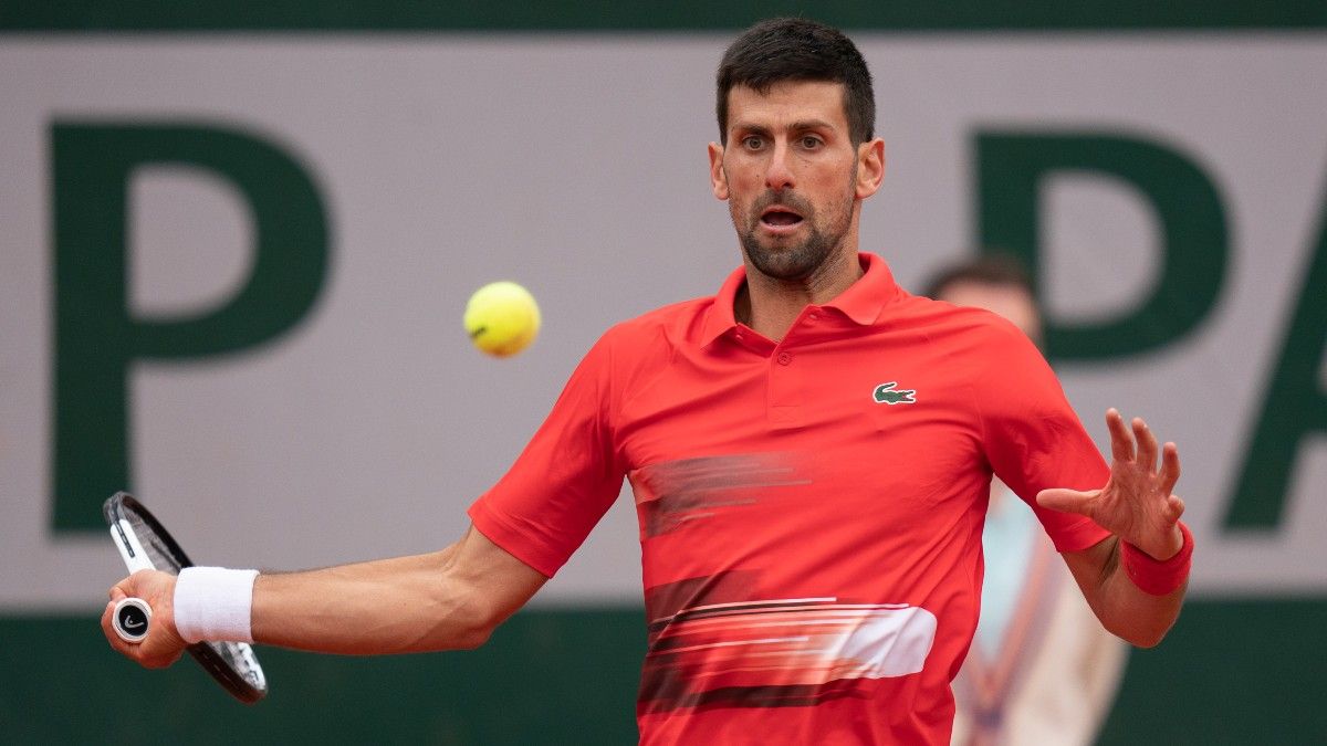 Novak Djokovic vs. Aljaz Bedene French Open Odds, Picks, Predictions (May 27) article feature image