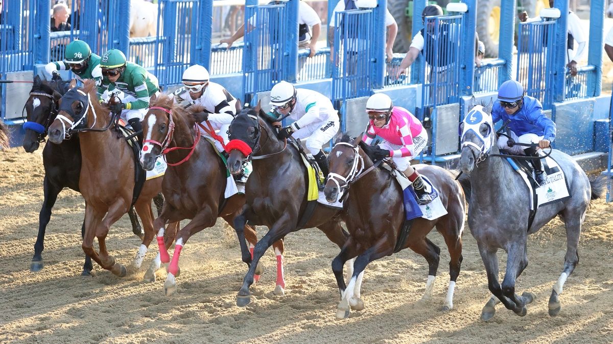 Updated 2022 Belmont Stakes Day Betting Odds, Predictions: Our Top Undercard Picks, Exotic Wagers & Best Bets for 6 Saturday Featured Races article feature image