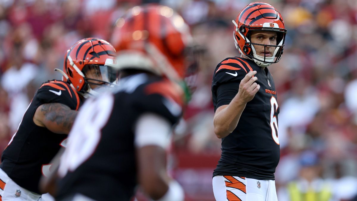 Bengals Playoff Odds Cincinnati's NFL Postseason Picture, Scenarios