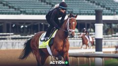 2026 Kentucky Derby Stats, Trends, Notes and More Image