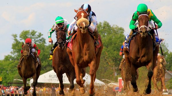 2021 Preakness Stakes Results, Order & Payouts: Rombauer Wins the
