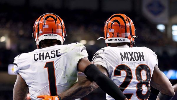 Bengals Apply for Ohio Sports Betting License, Announce Official Sportsbook Partner