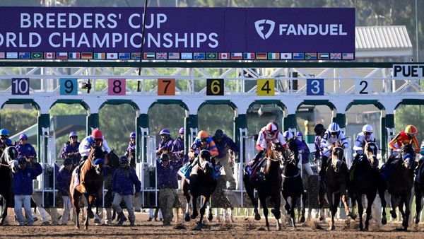 Breeders' Cup Best Bets Today: Predictions, Picks for Saturday Races