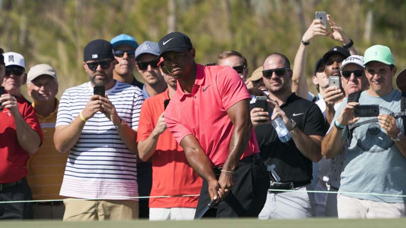 The Daily Sweat: Tiger Time, Super Bowl Action Report, and 2018 Win Totals article feature image