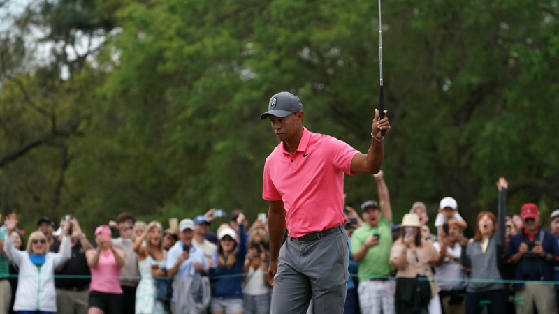 Valspar Final-Round Betting: What to do with Tiger? article feature image