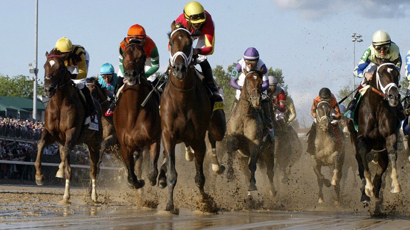 Lo Duca: How I Got Hooked On Horse Racing article feature image