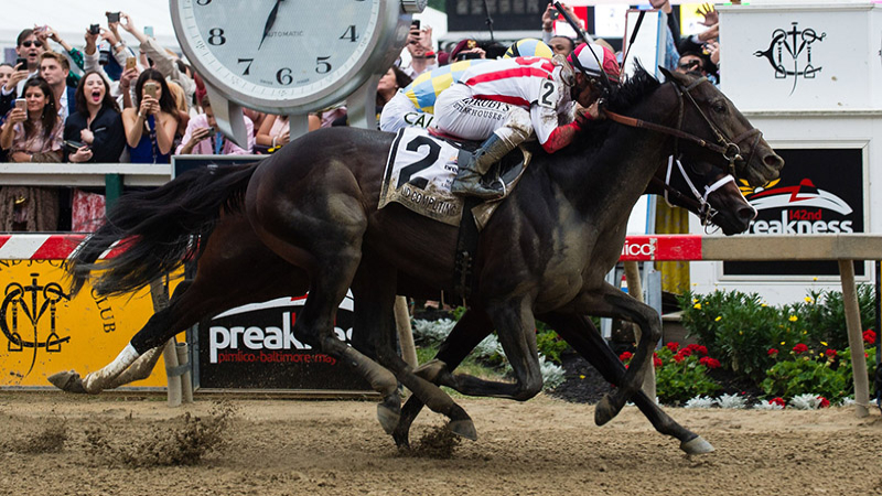 2018 Preakness Stakes Odds article feature image
