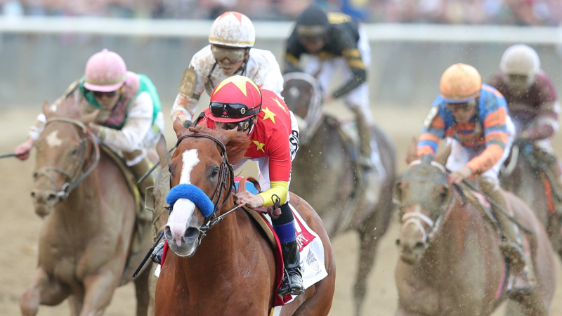 2018 Belmont Stakes Results, Odds and Payouts article feature image