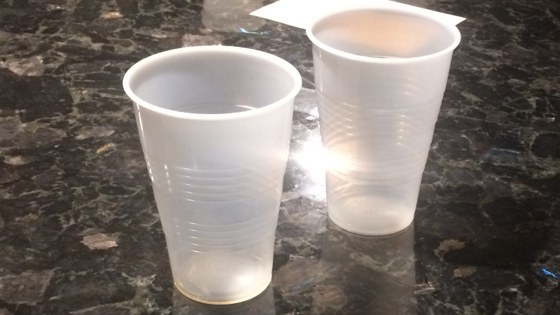 2018 Gambling Olympics: Over $5,000 Wagered on Impromptu Chugging Contest