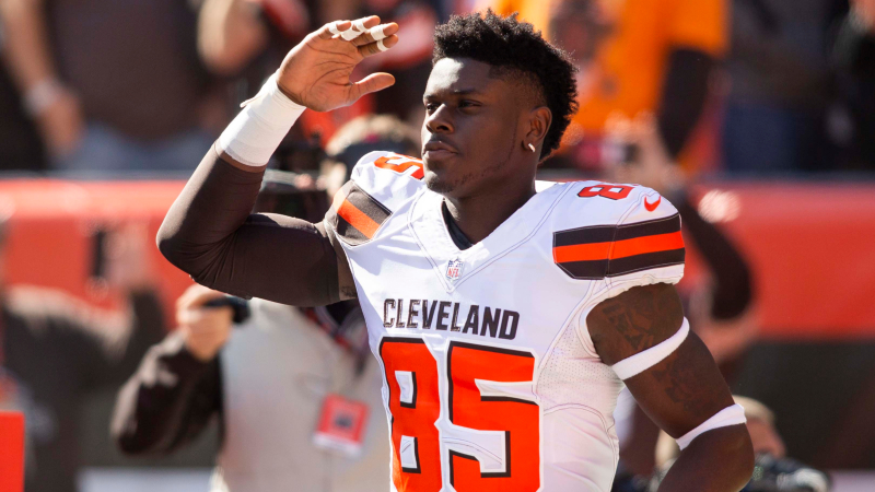 David Njoku Fantasy Football Rankings, 2019 Projections, Analysis, More | The Action Network Image