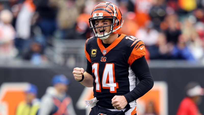 49ers vs. Bengals Cheat Sheet: Odds, Picks, More article feature image