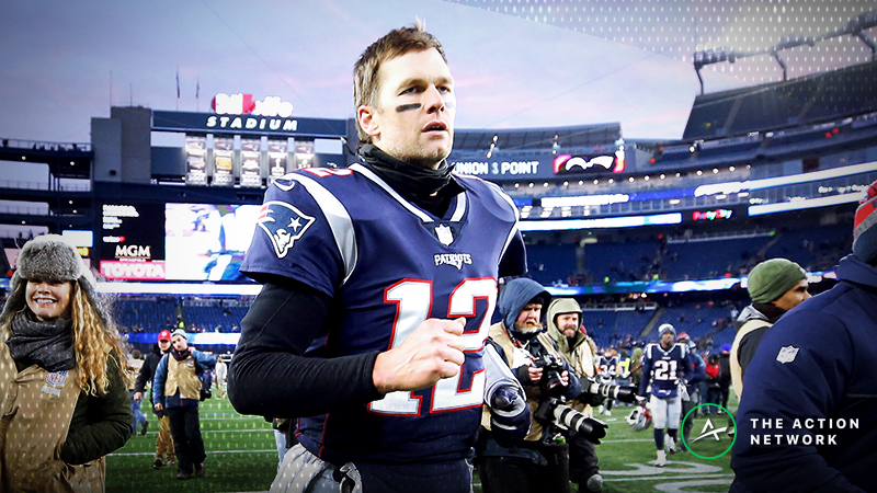 Tom Brady’s History as a Playoff Underdog: The Goat Is a Pooch for Only 7th Time | The Action Network Image