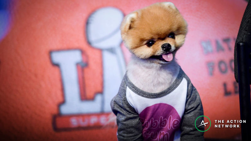 Super Bowl 53 Props: Cashing in on Over/Under 5.5 Canine Commercials | The Action Network Image