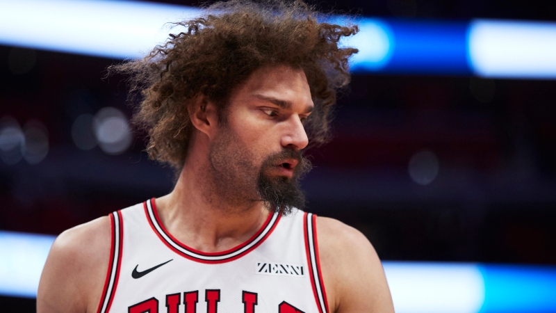 chicago bulls center robin lopez 2019