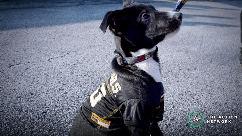 Puppy Bowl XV Prop Bet: What Will Be the First Letter of the MVP’s Name? article feature image