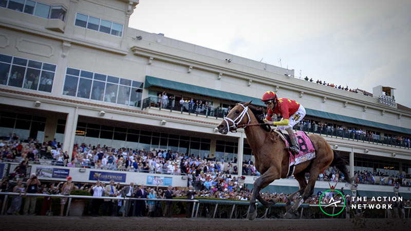 2019 Florida Derby Odds and Preview: Can Anybody Beat Hidden Scroll? article feature image