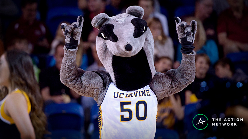 Hello, Anteaters: Joffe’s Guide to the NCAA Tournament Teams No One Knows article feature image