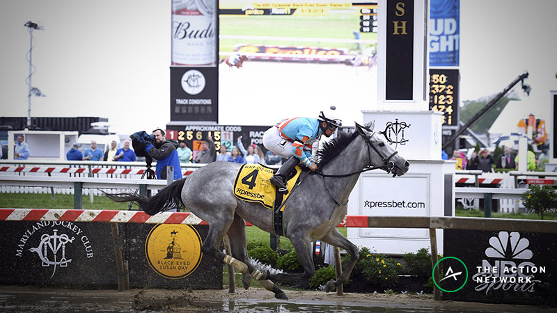 2019 Black Eyed Susan Odds, Preview: Vulnerable Favorites Should Leave the Door Open article feature image