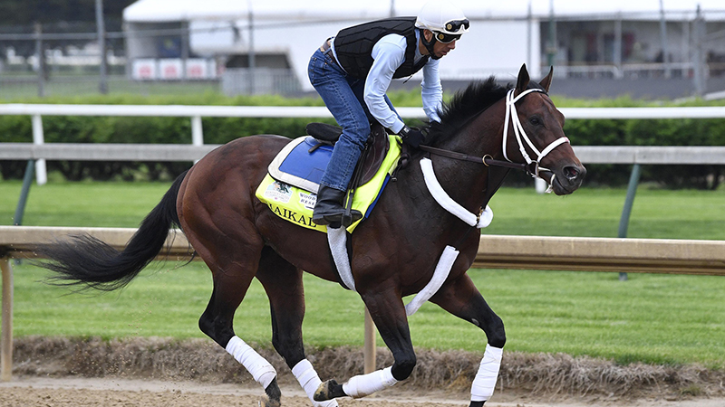 Lo Duca: My Card for the Preakness Stakes