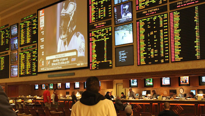 delaware park casino sports book