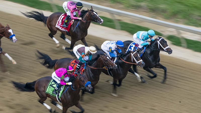 2019 Belmont Stakes Betting Odds & Cheat Sheet: Betting Picks, Longshots, Exotics and More article feature image