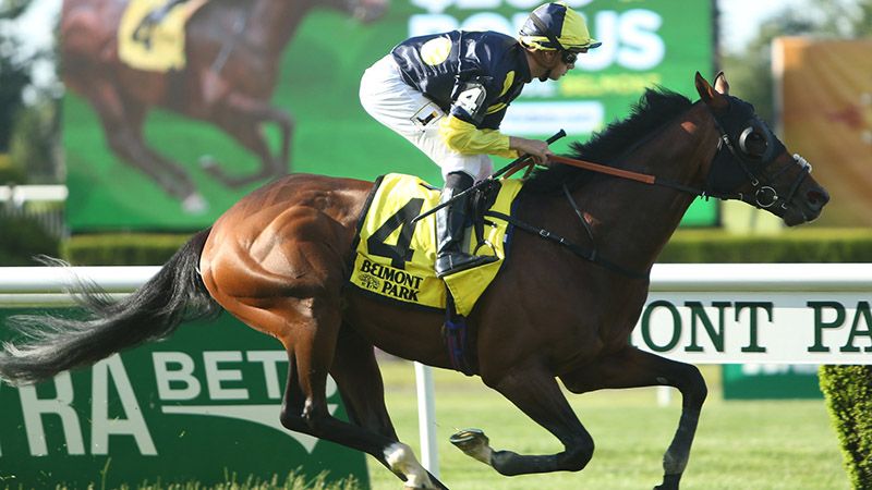 BlackJack’s Belmont Gold Cup Day Betting Preview: Arklow Headlines Wide-Open Field article feature image