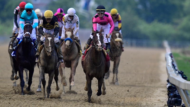 Zerillo: My Best Bets For 2019 Belmont Stakes Day article feature image